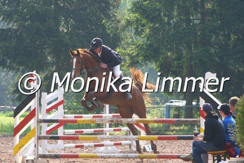 103M3079_Cookie_Springpf A.JPG